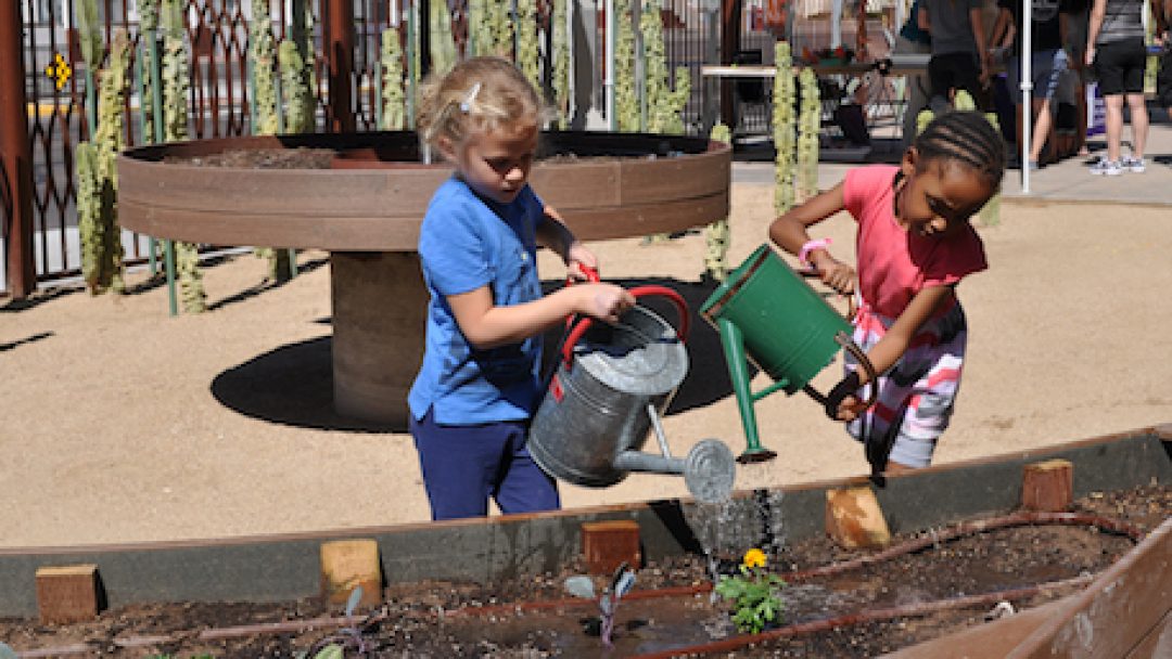 Children S Museum Of Phoenix Opens New Gardening Exhibit All