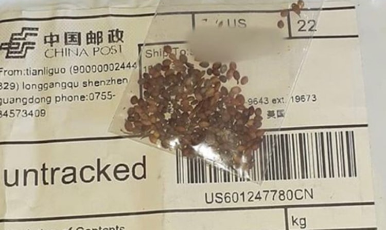 Arizonans Have Received Packages of Unidentified Seeds from China