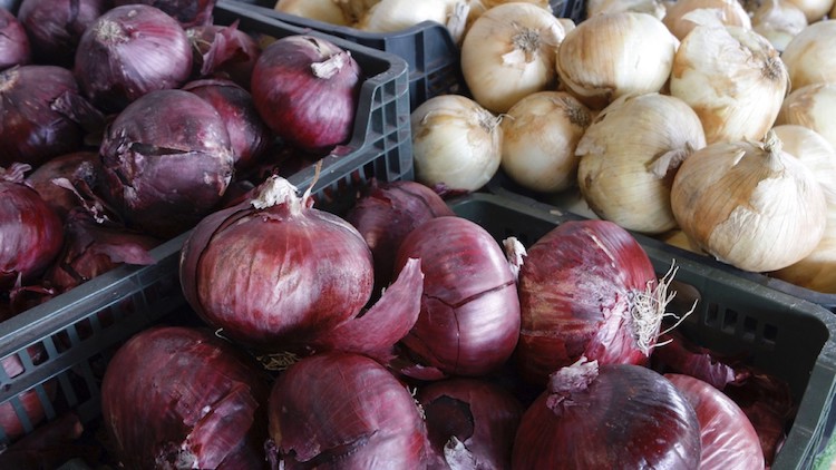 Onions Linked To Recent Salmonella Outbreak