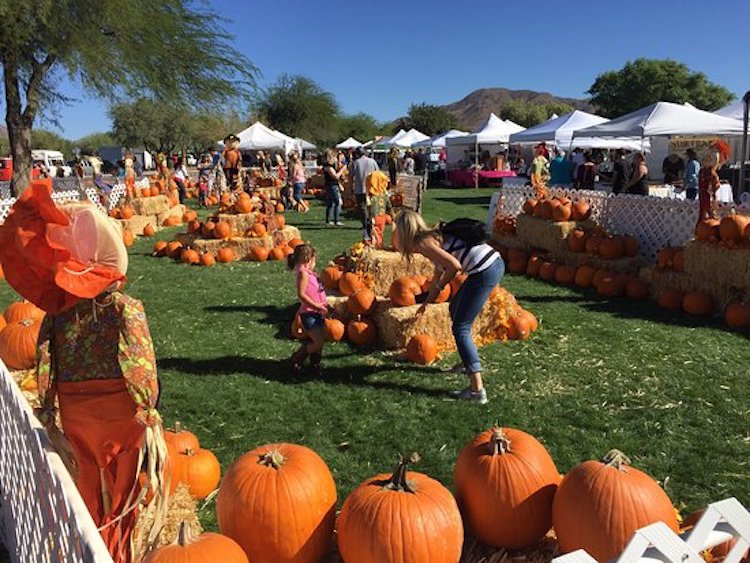 Guide to the Best Pumpkin Patches in Arizona The Upper Middle