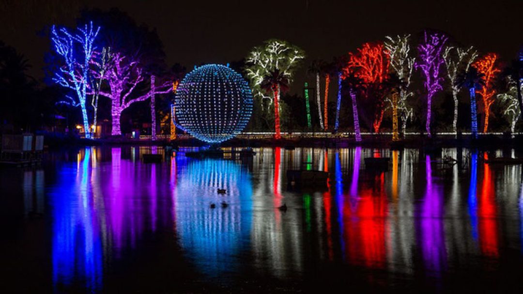 Phoenix ZooLights to Have Drive Thru This Holiday Season All About
