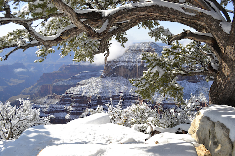 Grand Canyon National Park Transitions to Winter Operations