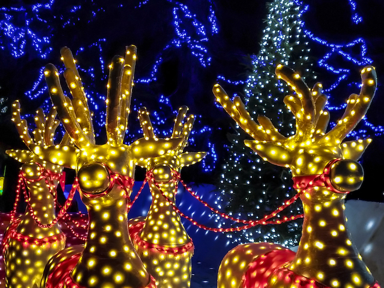 Four Arizona Families Compete on ABC’s ‘The Great Christmas Light Fight’