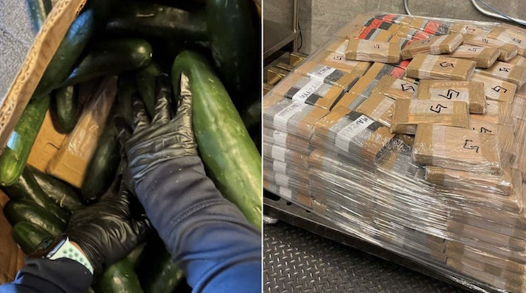 Arizona Border Agents Find 600 Pounds of Cocaine Hidden Inside Cucumber Shipment