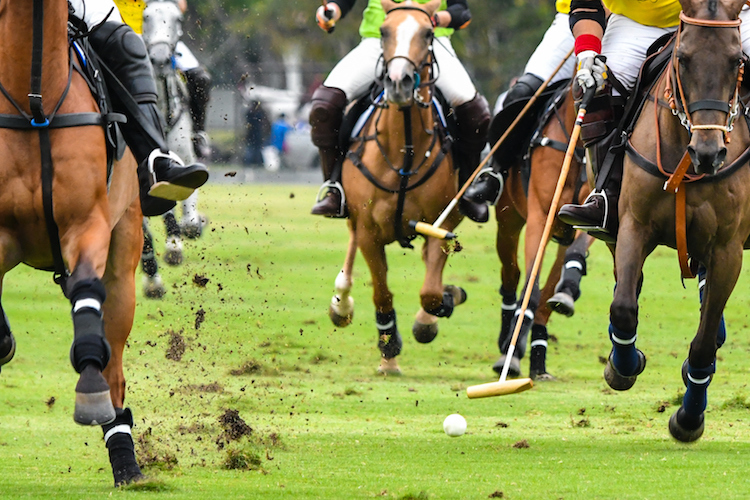 Shane Doan to Make His Polo Debut at 11th Annual Bentley Scottsdale Polo Championships
