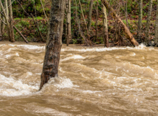 Pinal County Offers Sandbags for Flood Protection During Monsoon Season