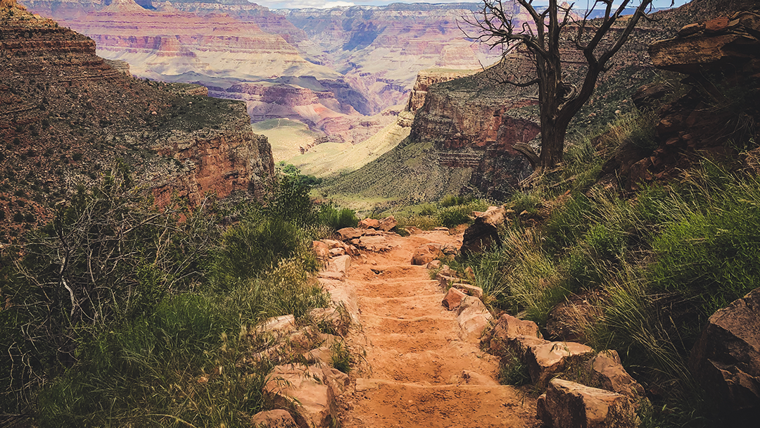 Fatal BASE Jumping Attempt at Grand Canyon Ends in Tragedy